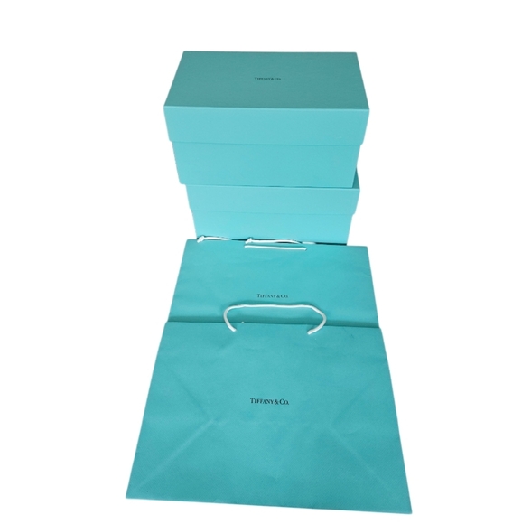 Tiffany & Co. Tiffany  Blue Luxury Shopping Bags & Two  Empty Boxes - Picture 8 of 8